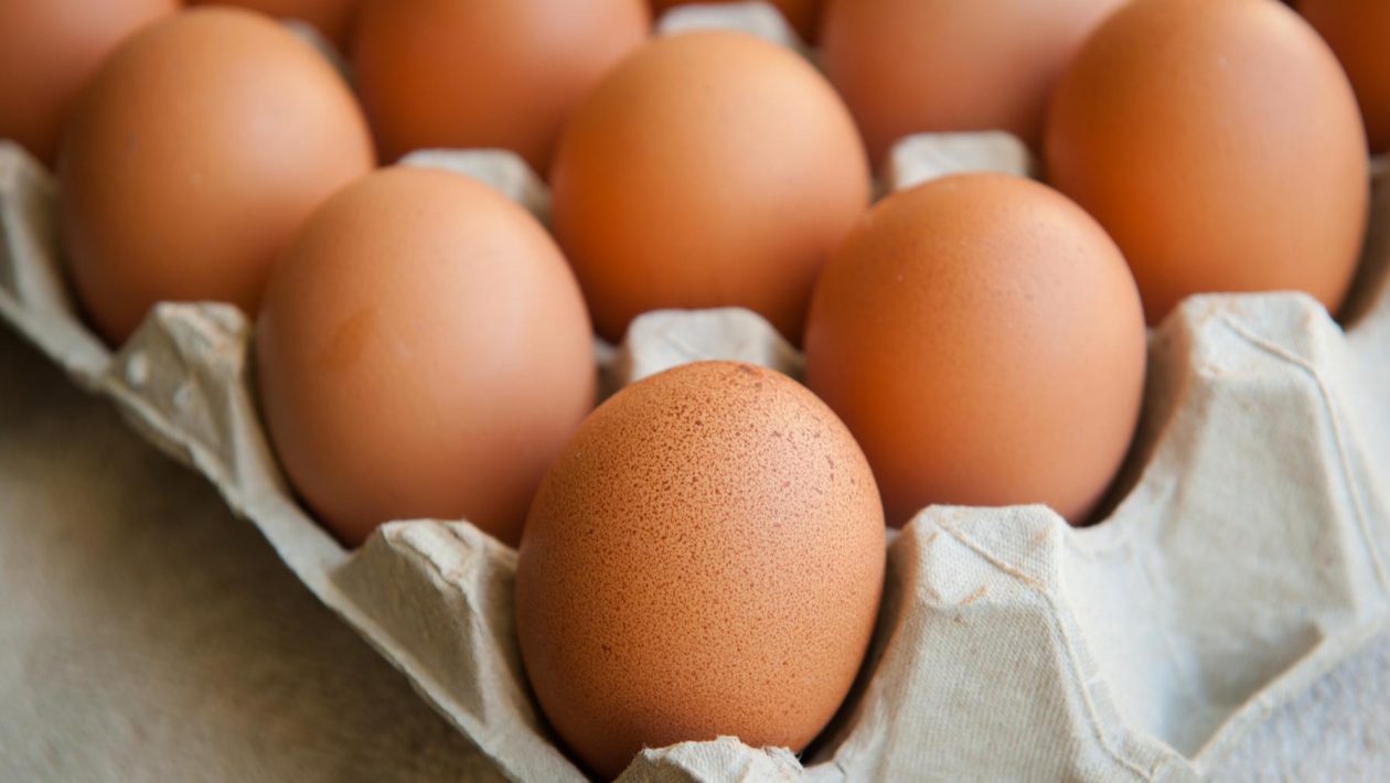how much protein in an egg