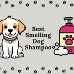 Best Smelling Dog Shampoo- The Six Best Ones!