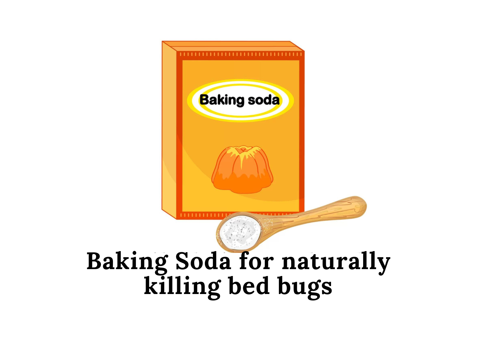 Baking Soda for naturally killing bed bugs