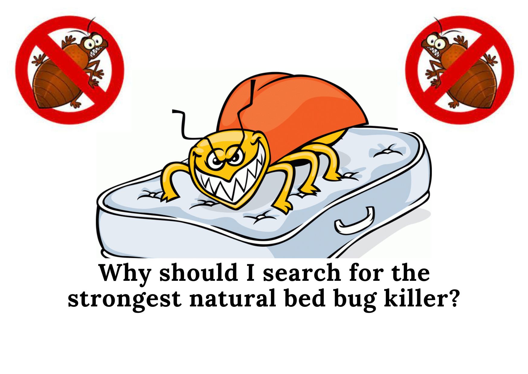 Why should I search for the strongest natural bed bug killer