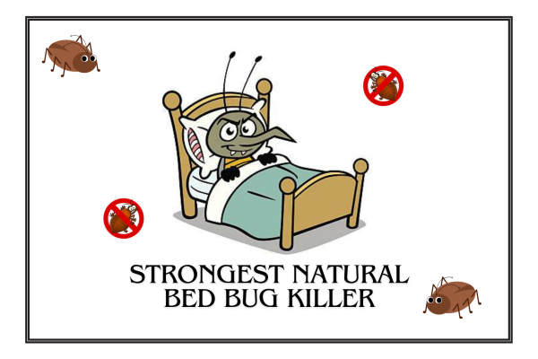 strongest natural bed bug killer